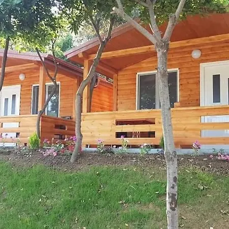 Parco vacanze Plazhi Gjeneralit - Small - - - - *