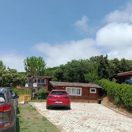 Plazhi Gjeneralit - Small - - - - * Kavaje