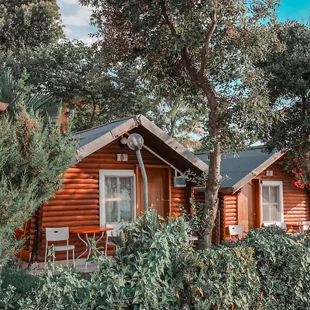 Plazhi Gjeneralit - Small - - - - * Kavaje