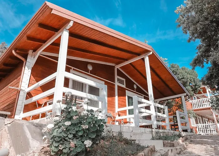 Plazhi Gjeneralit - Small - - - - * Kavaje