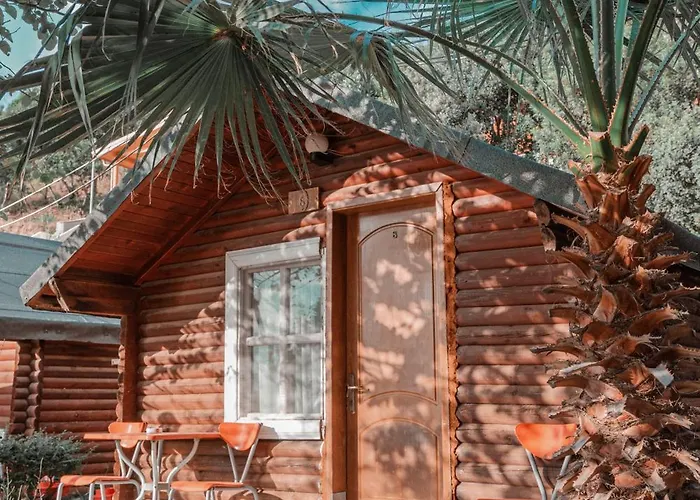 Plazhi Gjeneralit - Small - - - - Kavaje