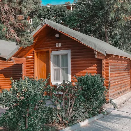 Plazhi Gjeneralit - Small - - - - * Kavaje