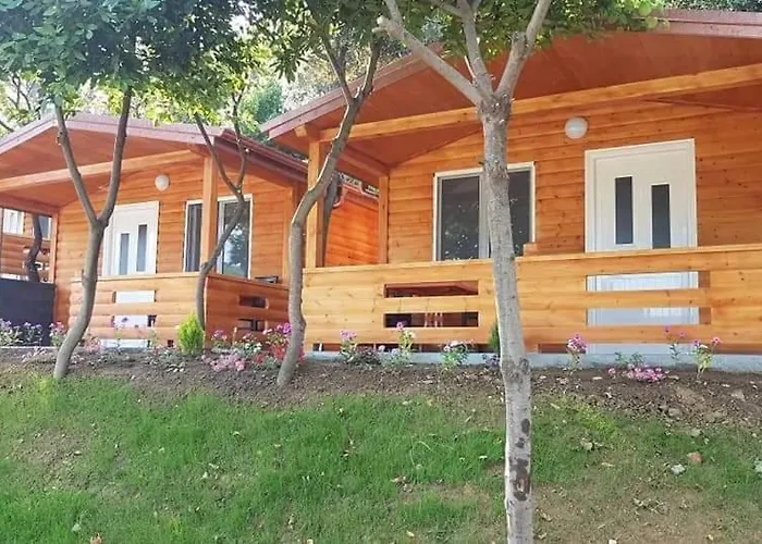 Ferienpark Plazhi Gjeneralit - Small - - - - *